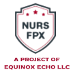 NURS FPX