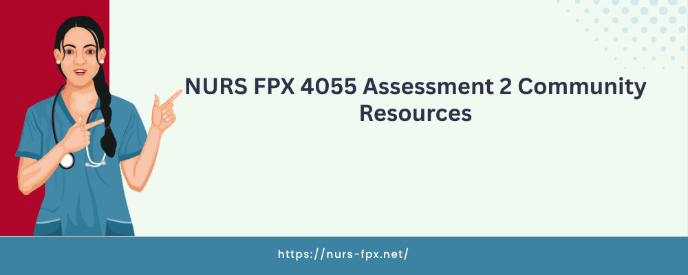 NURS FPX 4055 Assessment 2 Community Resources